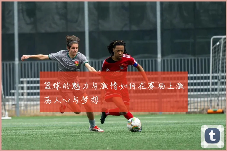 篮球的魅力与激情如何在赛场上激荡人心与梦想