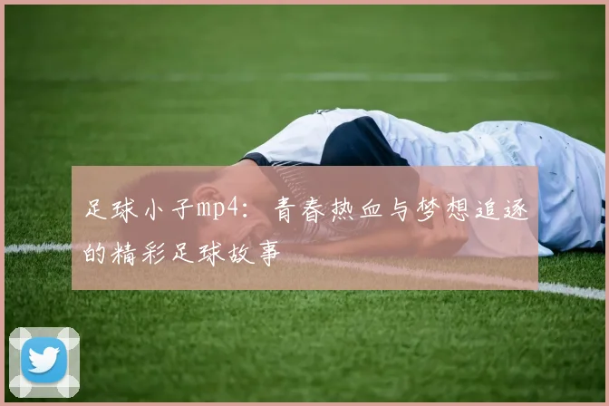足球小子mp4：青春热血与梦想追逐的精彩足球故事