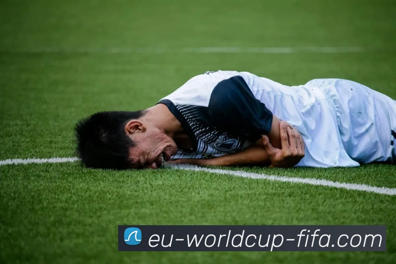 买球有限公司平台生态图